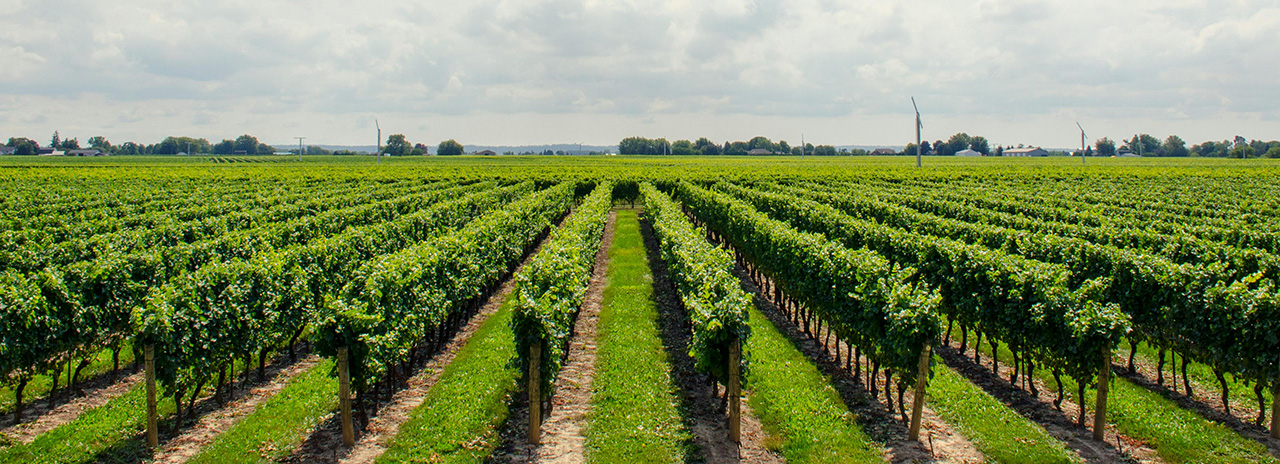 Agricultural Nozzle Solution