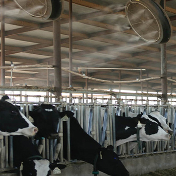 Animal Husbandry