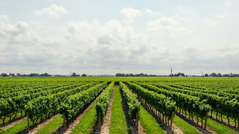 Agricultural Nozzle Solution